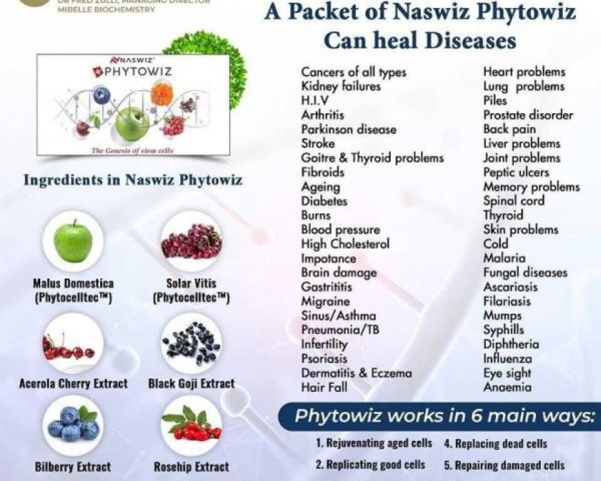 benefits of phytowiz